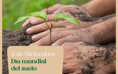 Día Mundial del suelo