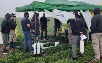 Jornada técnica de cultivo de maní