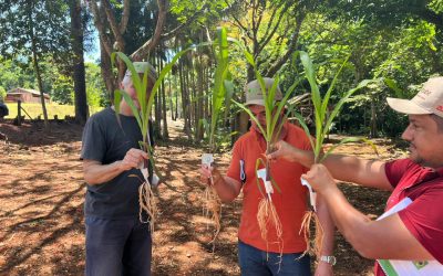 Gira en Brasil con visita al Centro Experimental en Londrina