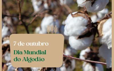 Dia Mundial do #Algodão