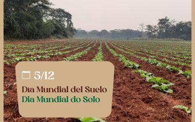 DÍA MUNDIAL DEL SUELO